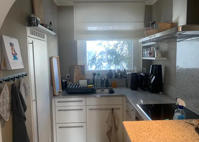 Fantastic Panorama Flat In St. Moritz